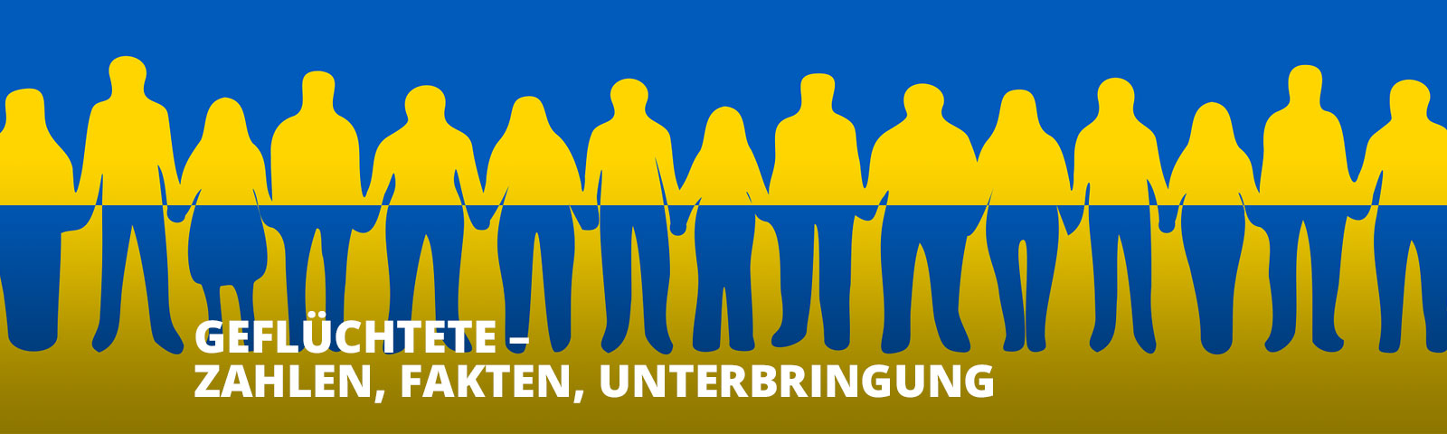 gefluechtete zahlen D